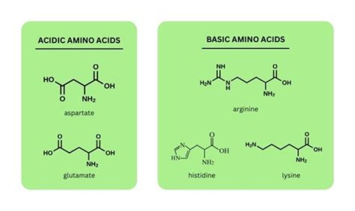 Are amides basic or acidic?