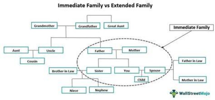 Are aunts considered immediate family?
