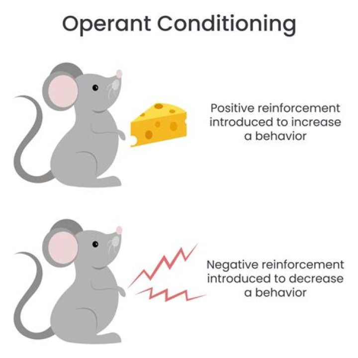 Are behaviorism and mentalism the same?