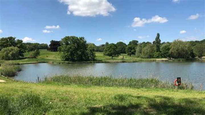 Are hampstead ponds safe?