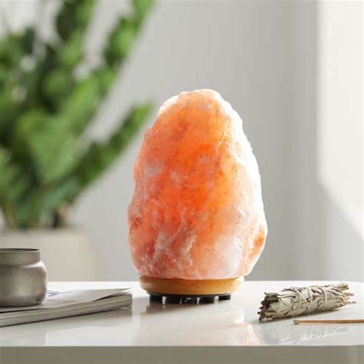 Are himalayan salt lamps safe for dogs?