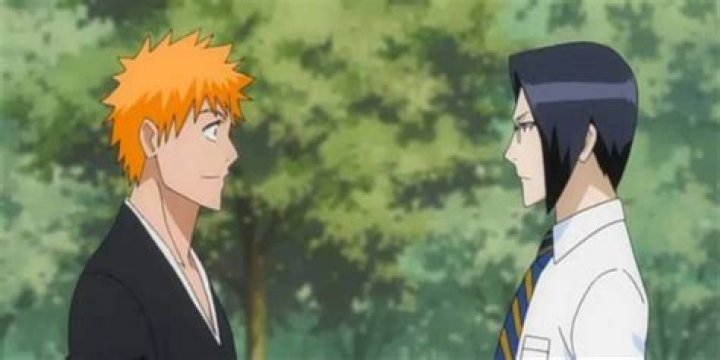 Are ichigo and uryu friends?