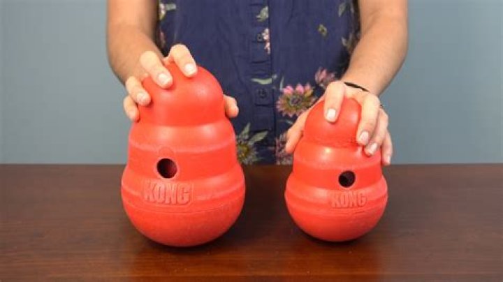 Are kong wobbler dishwasher safe?