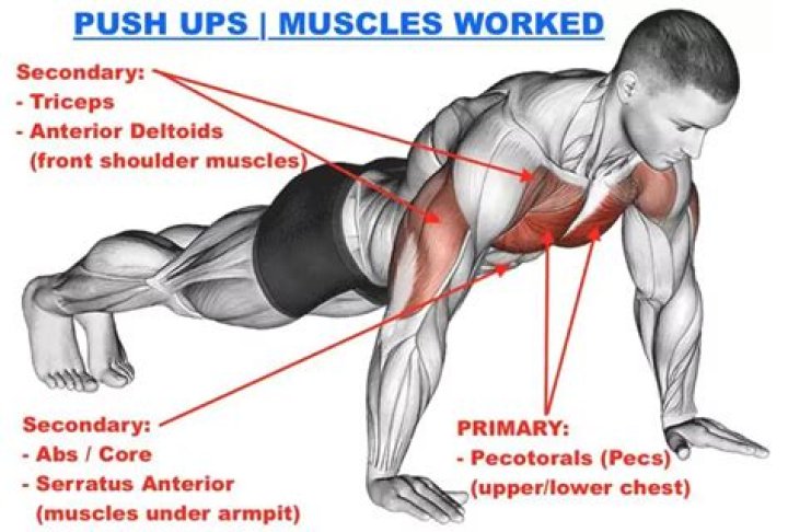 Are push ups warm up?
