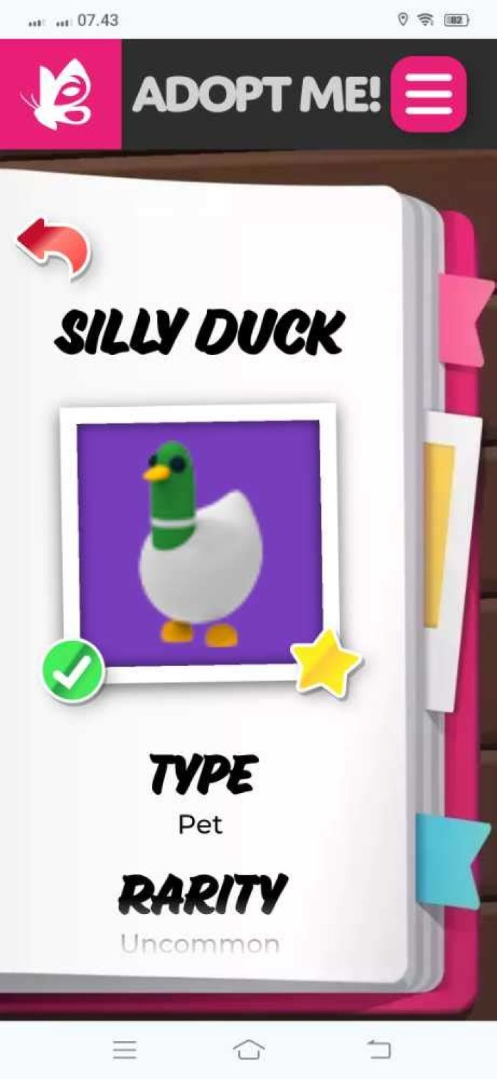 Are silly ducks rare in adopt me?