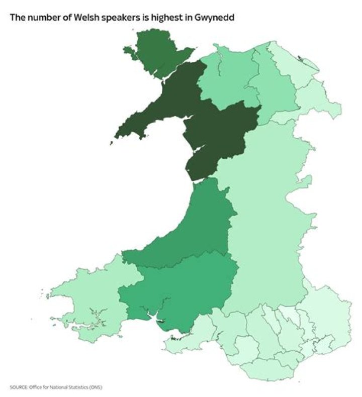 Are there any monolingual welsh speakers?