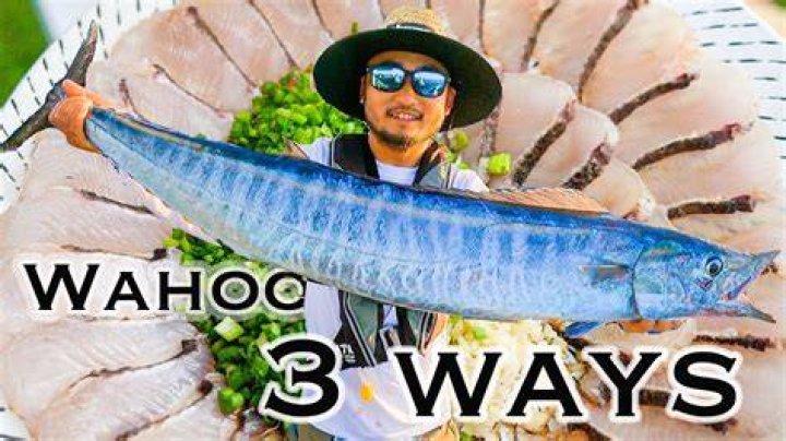 Are wahoo good to eat?