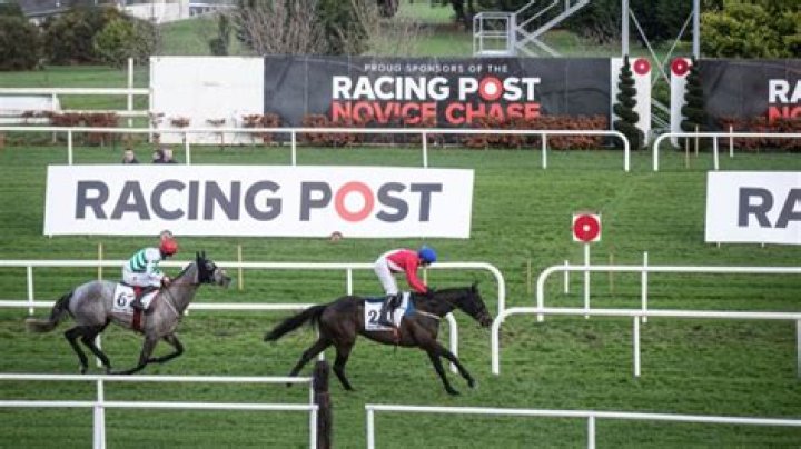 At the post horse racing?