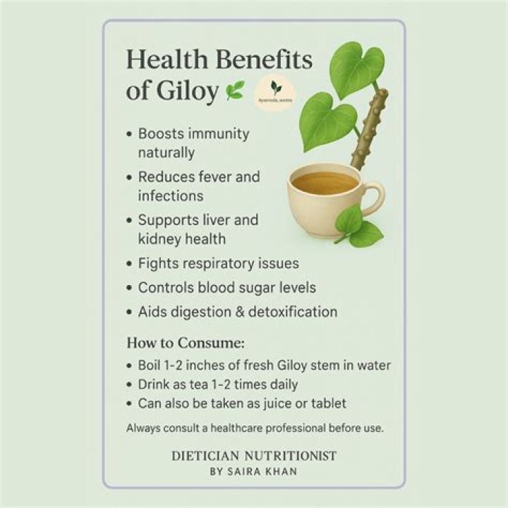 At what time giloy should be taken?