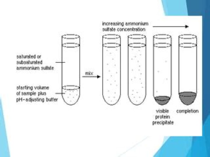 By ammonium sulfate precipitation?