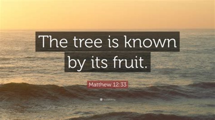 By its fruit the tree is known?