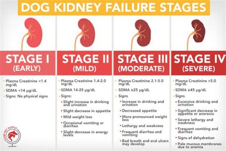 By what measure is kidney failure ascertained?