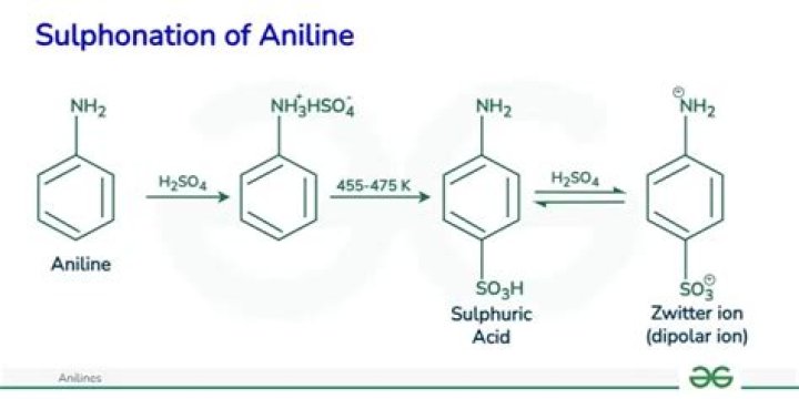 Can aniline undergo sulfonation?