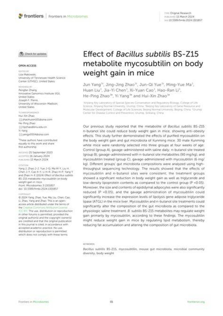 Can bacillus subtilis help with weight loss?
