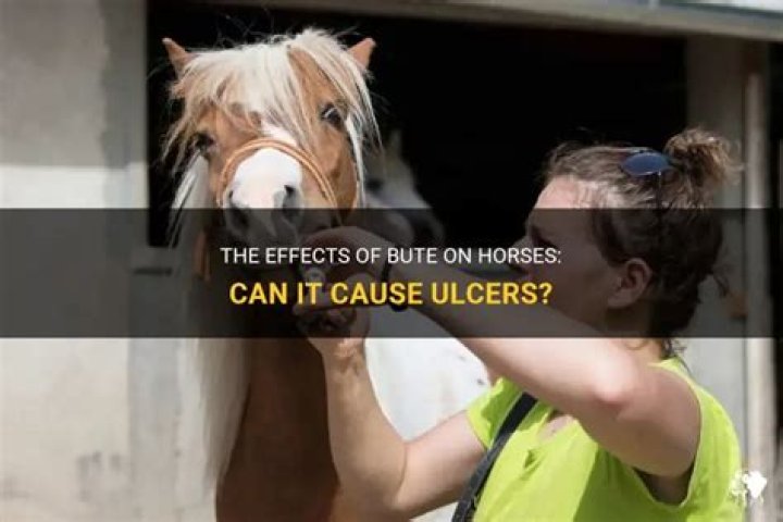 Can bute cause ulcers in horses?