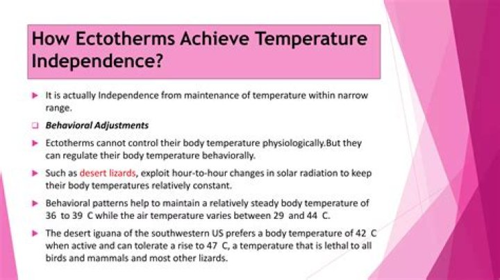 Can ectotherms regulate body temperature?