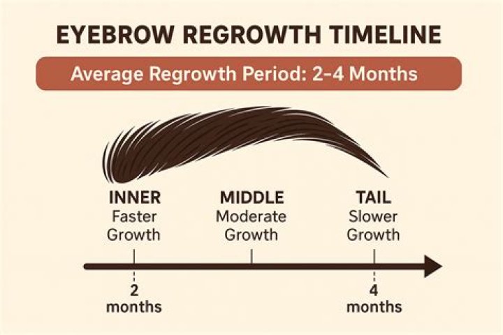 Can eyebrow slits grow back?