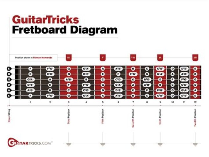 Can frets be replaced?