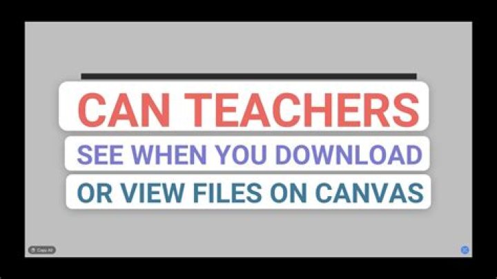 Can instructors see when you are on canvas?