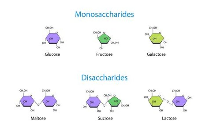 Can monosaccharides be hydrolyzed?