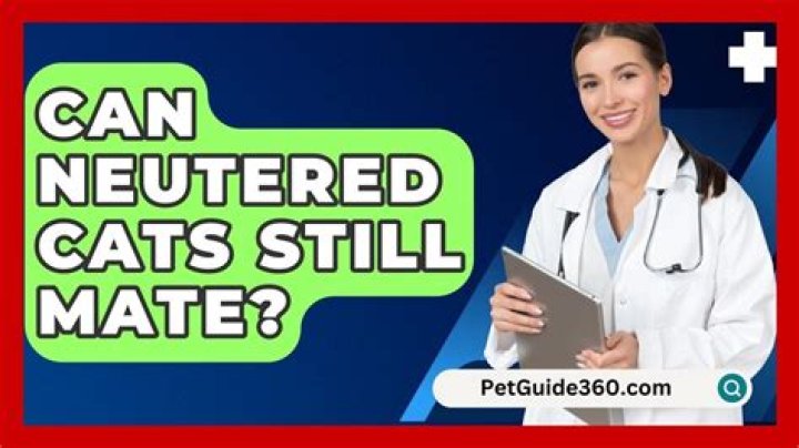 Can neutered cats still mate?