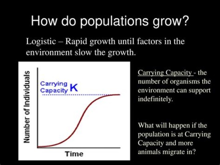 Can populations grow indefinitely?