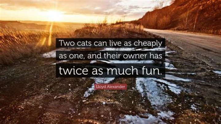 Can two live as cheaply as one?