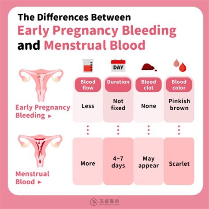 Can you bleed in early stages of pregnancy?