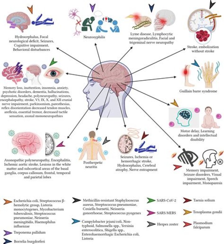 Can you die from neurotoxicity?