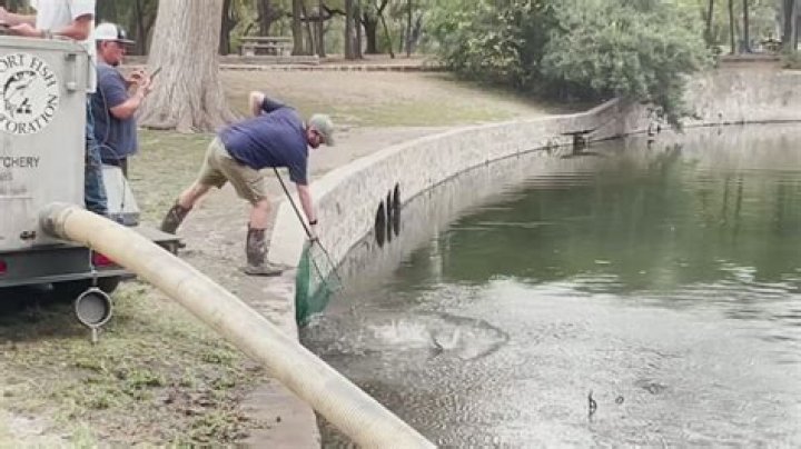 Can you fish at brackenridge park?