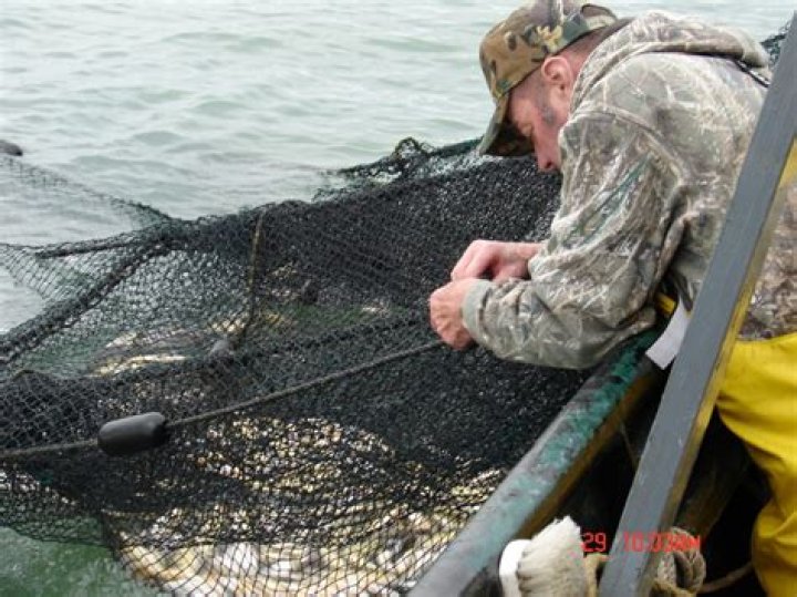 Can you fish lake laurentian?
