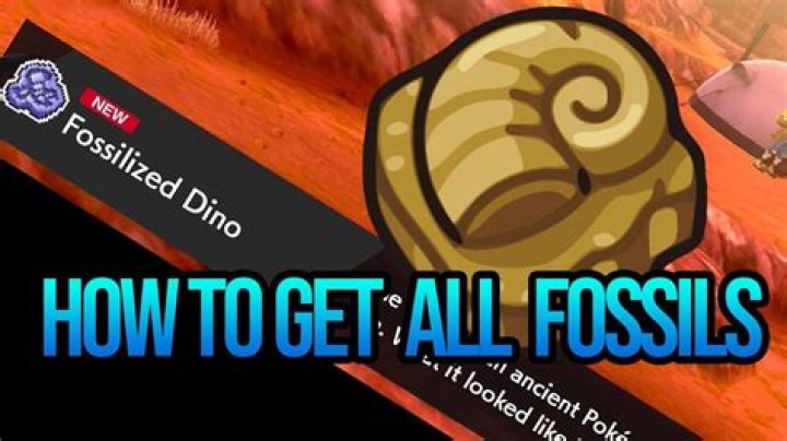 Can you get fossilized bird in shield?