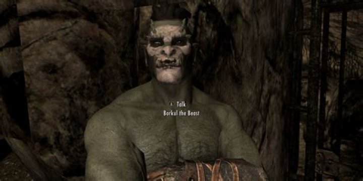 Can you marry borkul the beast?