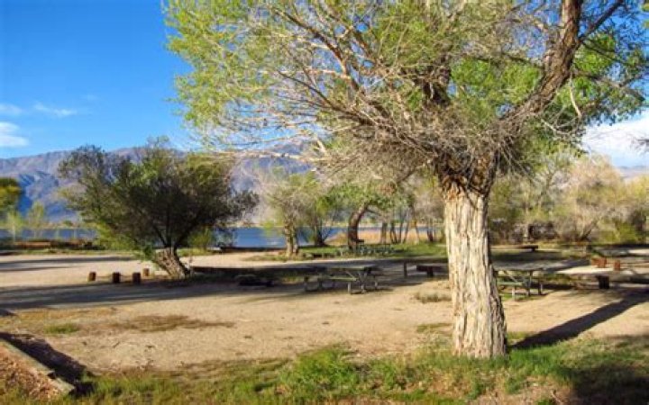 Can you swim in diaz lake?