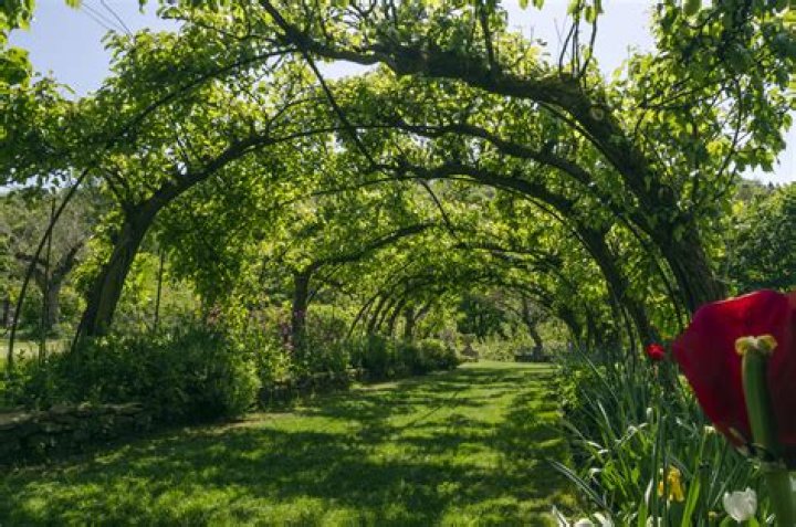 Can you visit prinknash abbey?