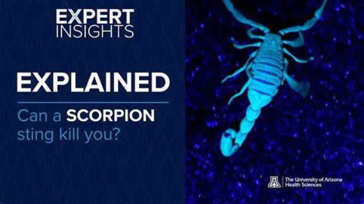 Could a scorpion kill you?