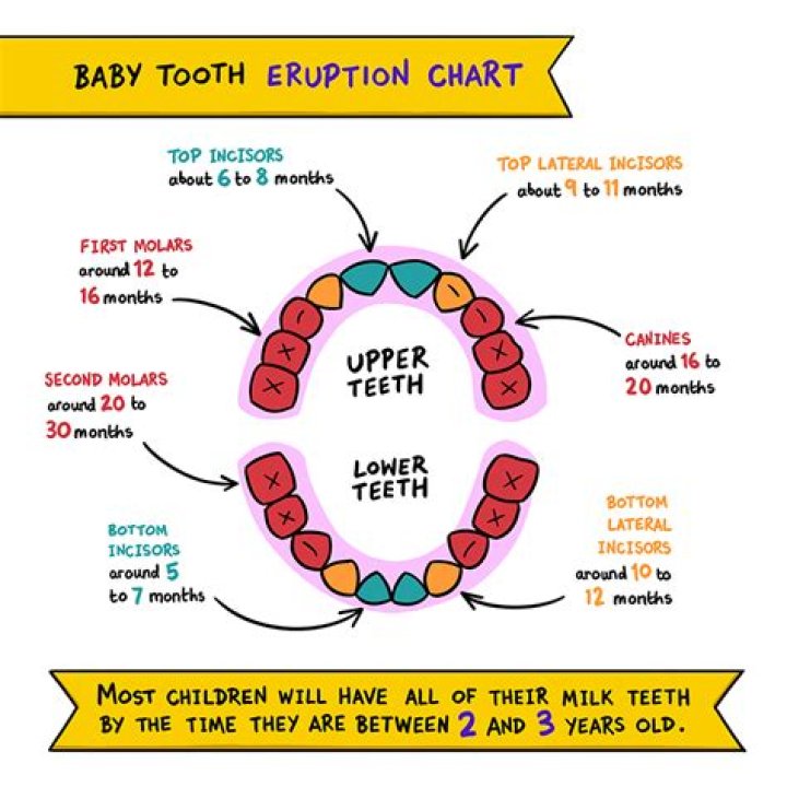 Could my 4 week old be teething?