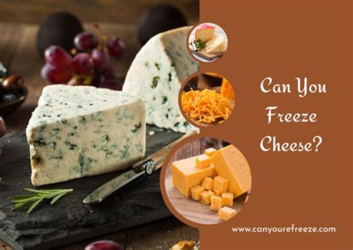 Could you freeze cheese?