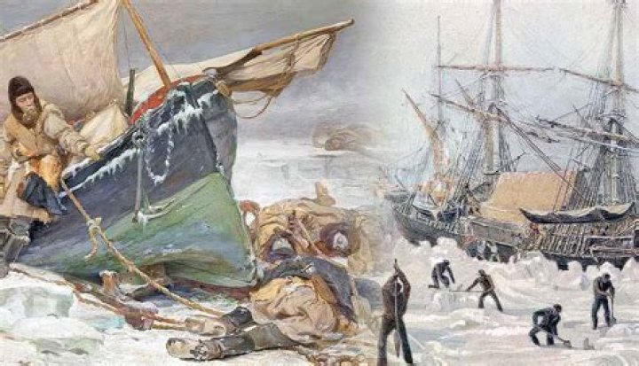 Did anyone survive the terror expedition?