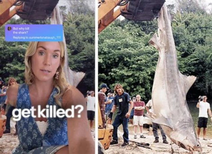 Did bethany hamilton get bit twice?