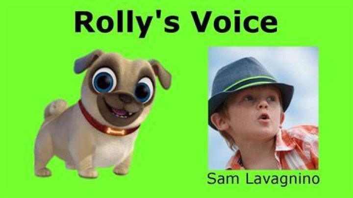 Did bingo and rolly voices change?