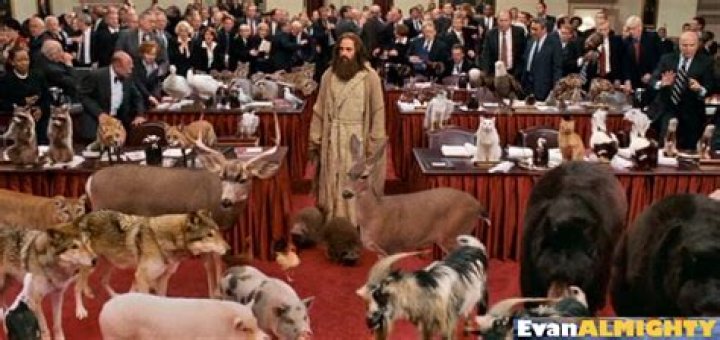 Did evan almighty use real animals?