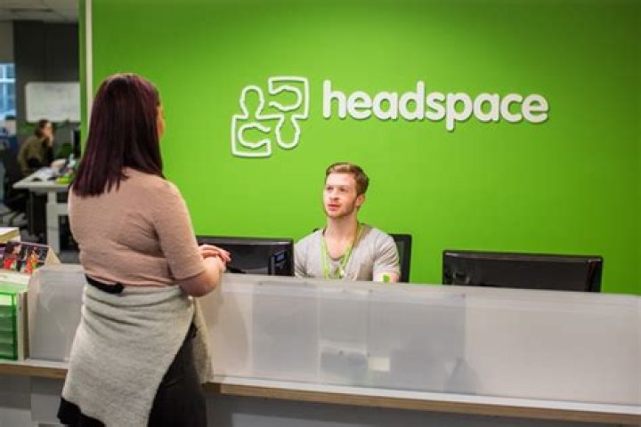 Did headspace help you?