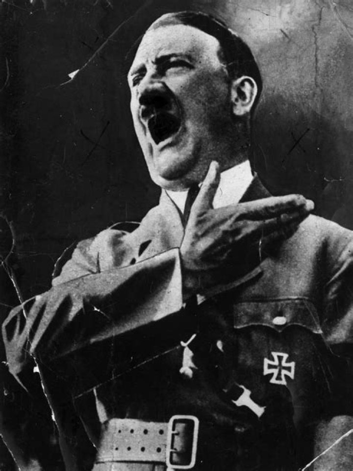 Did hitler have one testicle?