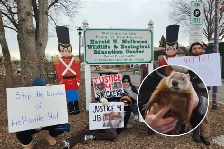 Did holtsville hal see his shadow?
