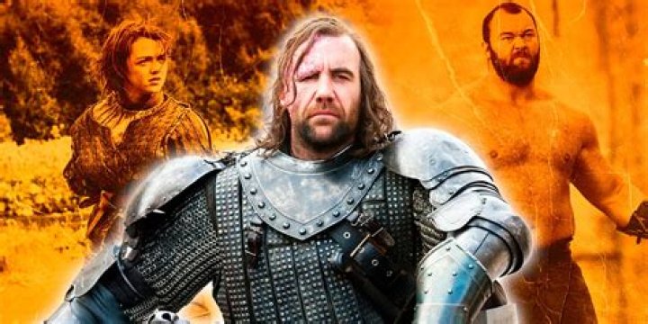 Did sandor kill the mountain?