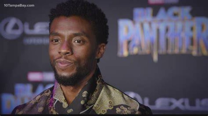 Did the black panther actor died?