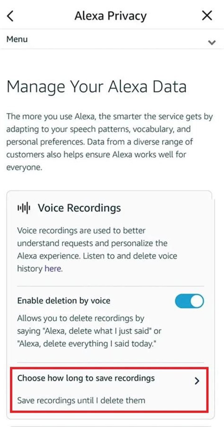 Do alexa record conversations?