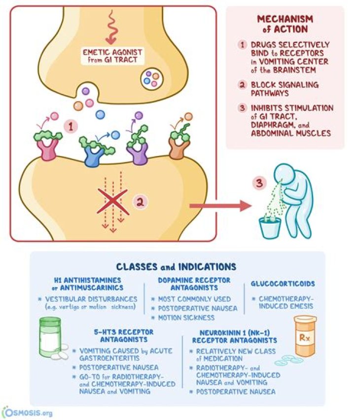 Do anti emetics work for norovirus?