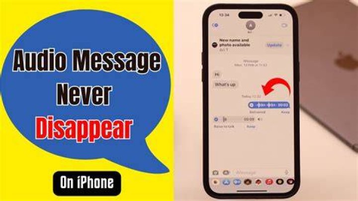Do audio messages disappear?
